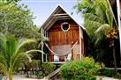 Green Parrot Beach Houses