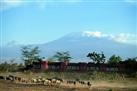 Amboseli Serena Safari Lodge