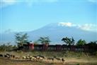 Amboseli Serena Safari Lodge