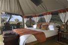 Elephant Bedroom Camp  5.0 out of 5 stars