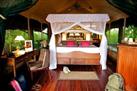 Samburu Intrepids Tented Camp