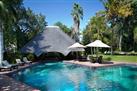 Sefapane Lodge and Safaris